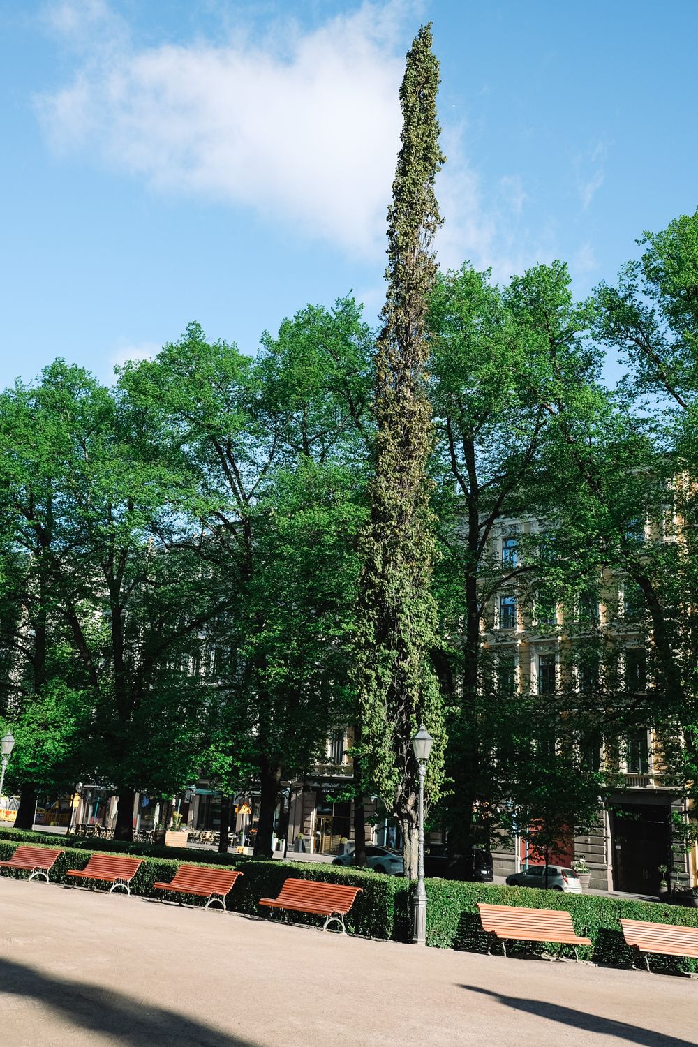 A tall slender ivy-covered column rises above park benches and green trees in a sunny urban Helsinki esplanade.