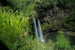 Lush green tropical waterfall cascading into a serene pool surrounded by dense vegetation and rocky cliffs.