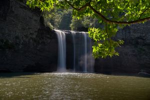 Serene waterfall cascading into a calm pool, framed by lush green tree branches and rocky cliffs in natural light.