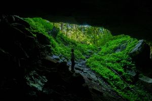 A lone figure stands at the entrance of a dark cave surrounded by vibrant green moss and lush forest vegetation.