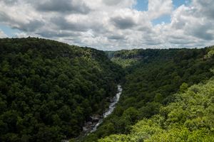Aerial view of a lush green river gorge with dense forest canopy and a winding stream under a partly cloudy sky.