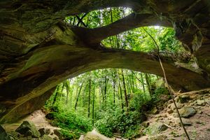View from inside a natural rock arch looking up at lush green forest canopy in a scenic woodland setting.