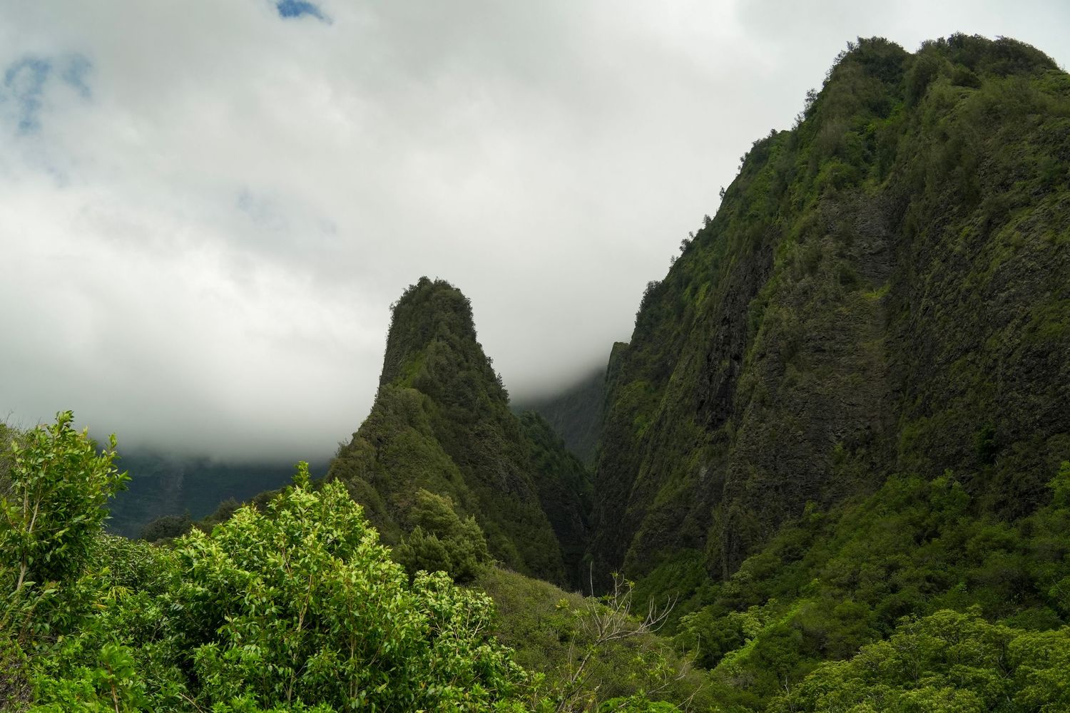 Lush green Iao Valley State Park with dramatic needle rock formation surrounded by misty tropical mountains.