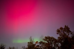 Vibrant aurora borealis with pink and green lights illuminating the night sky above silhouetted trees.