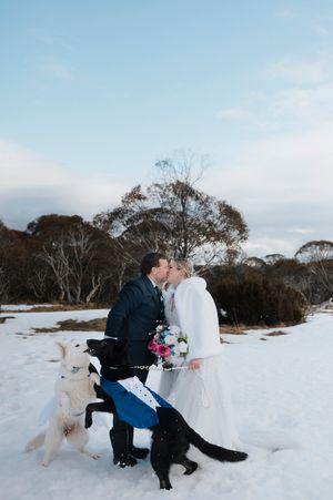 Bride and groom kissing in snow with two dogs, winter wedding outdoors with trees and blue sky backdrop.