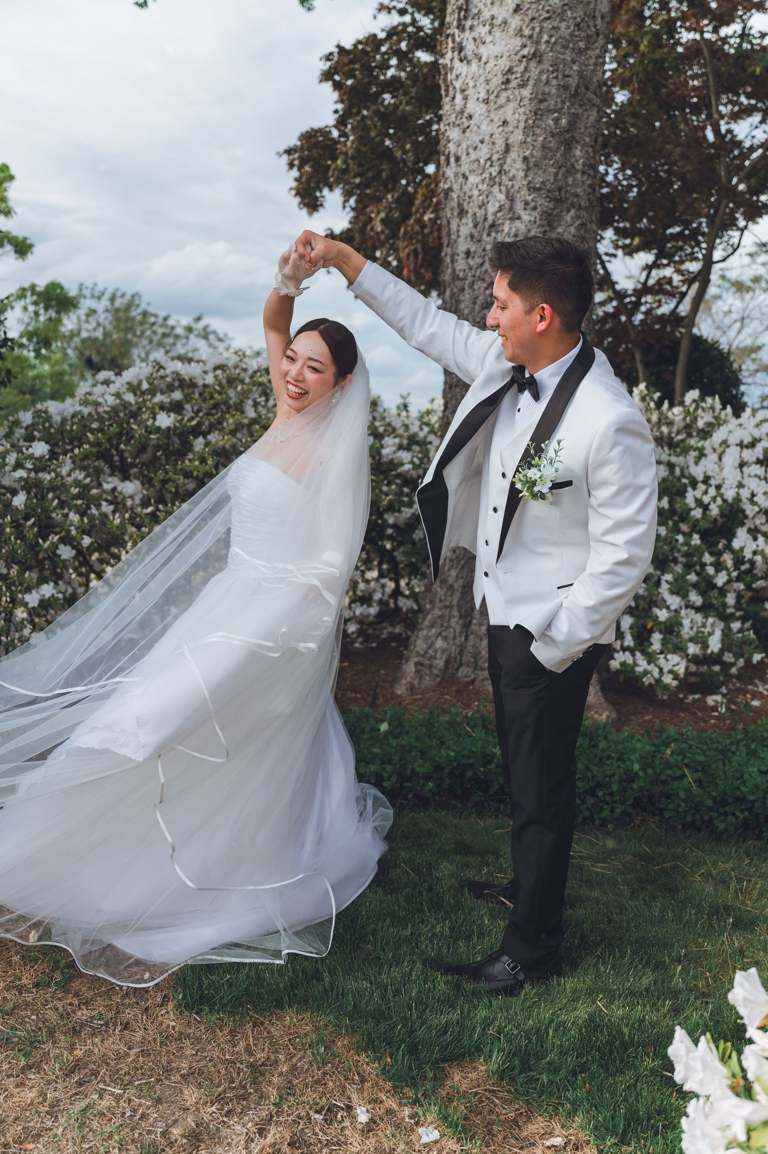 Groom in white tuxedo twirling bride in flowing white gown and veil outdoors near blooming trees.