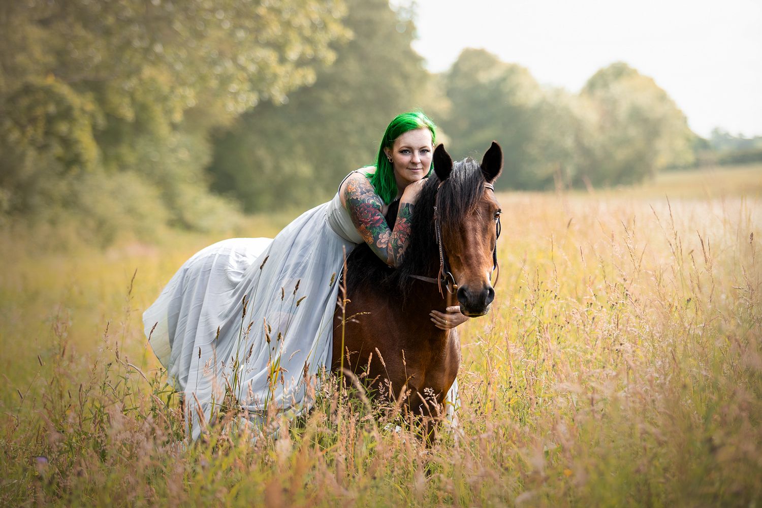 horse photography