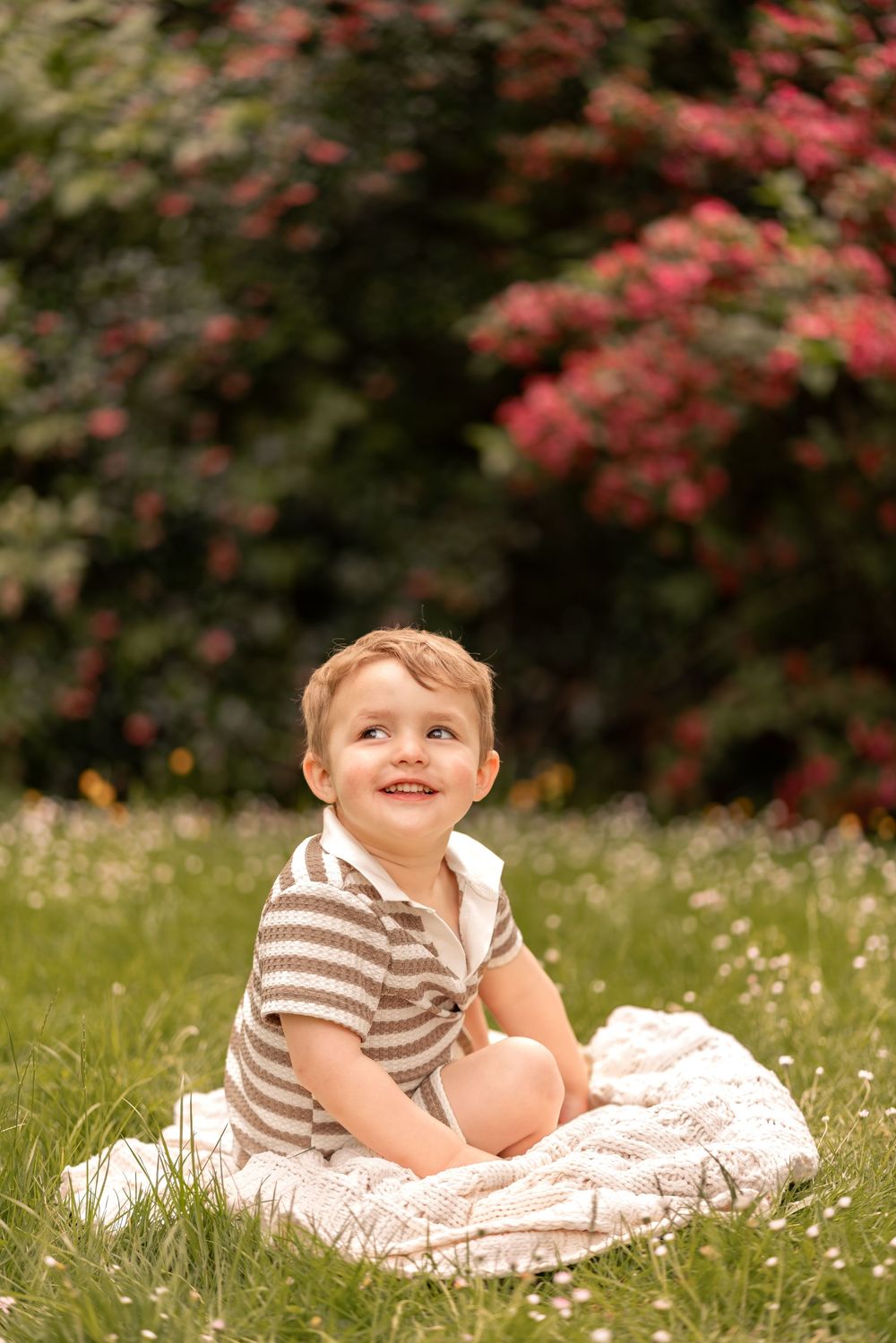 Smiling toddler boy sitting on a blanket in green grass with pink flowering bushes in the background.