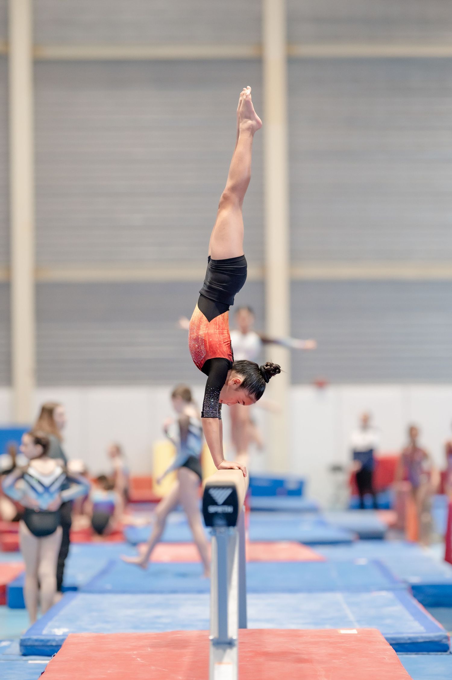 Young gymnast executing perfect handstand on balance beam in red and black leotard at competition.