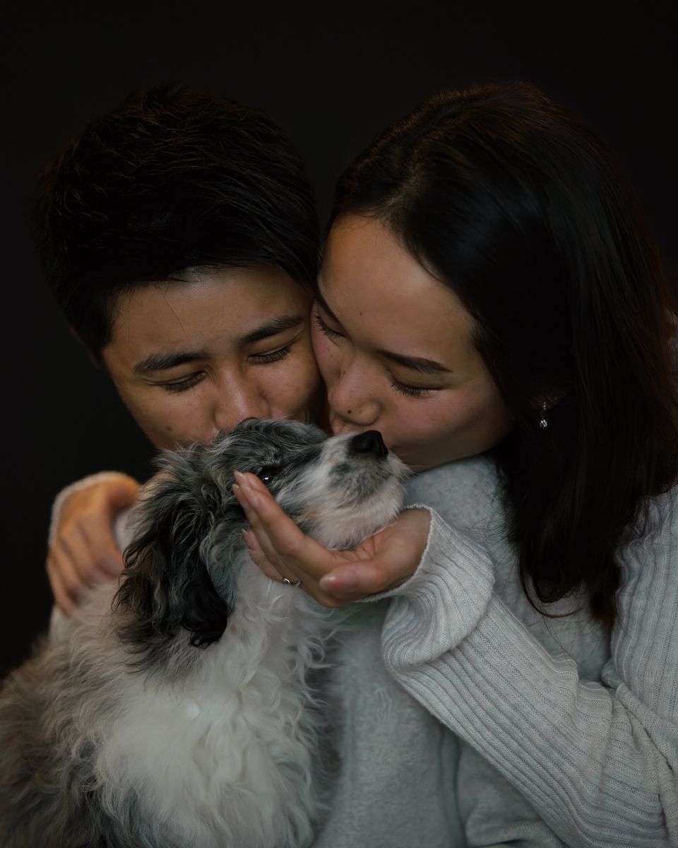 Couple ] kissing a small fluffy black and white border collie poodle mix dog against a dark background in rouse hill photoshoot