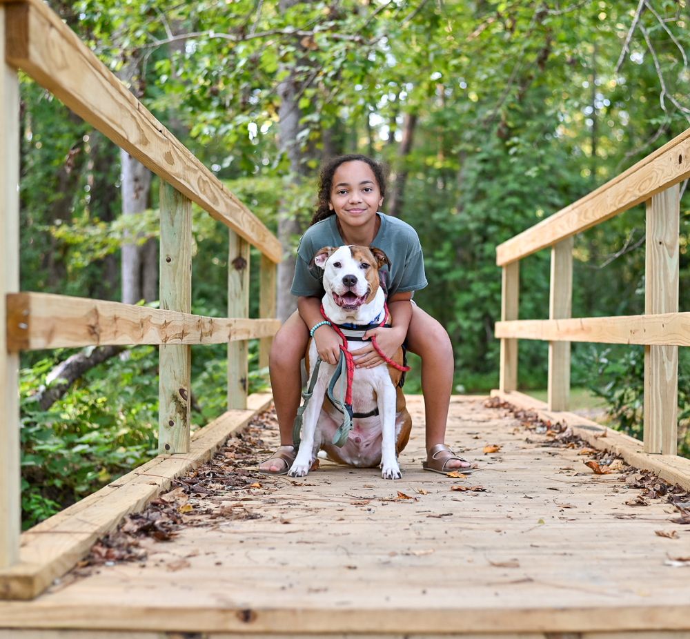 Person and white pit bull dog posing together on wooden bridge in forest setting.