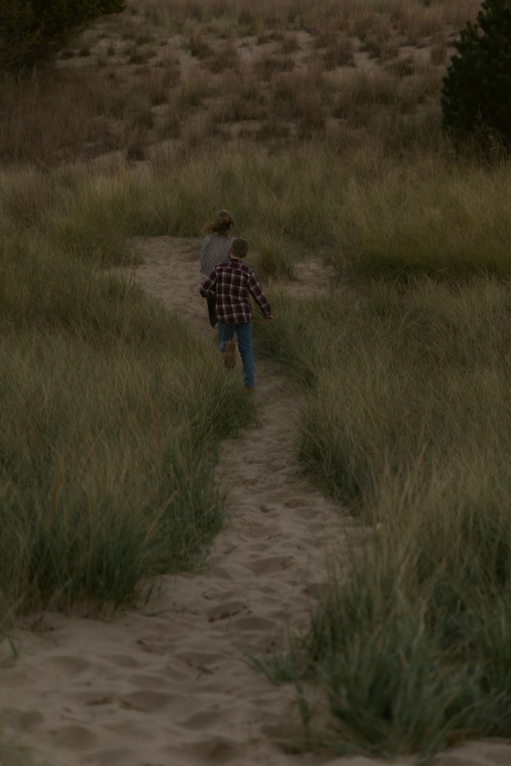 A person in a plaid shirt walks along a winding dirt path through tall grass on a hillside.