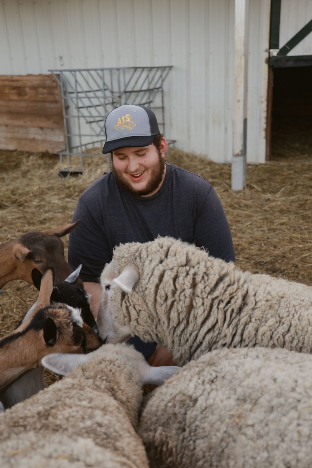 A farmer in a baseball cap tends to sheep and goats in a barn with hay-covered ground.