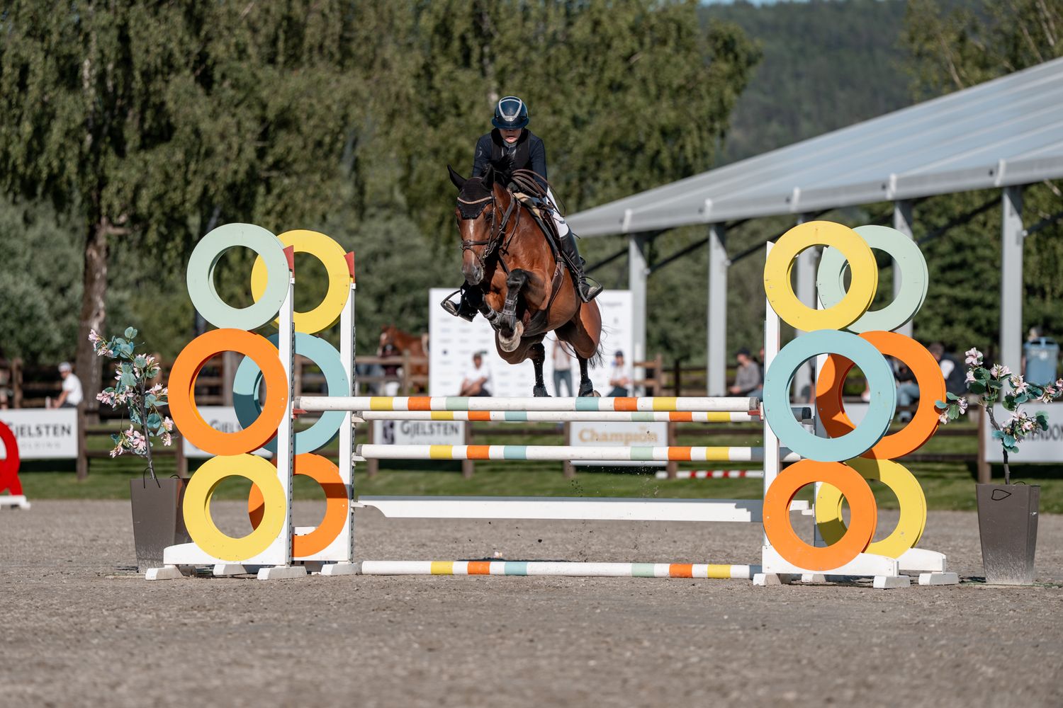 White horse and rider clearing jump at Oslo Horse Show indoor competition.