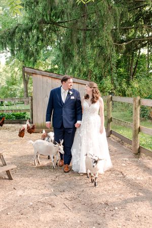 Bride and groom walk hand in hand through a farm enclosure surrounded by goats and chickens on their wedding day.