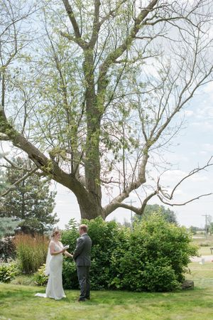 Bride and groom share a tender first look moment holding hands beneath a large tree in a lush green outdoor setting, in Palmerston, Ontario.