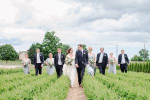 Wedding party walks together through green farm rows under cloudy sky in elegant attire.