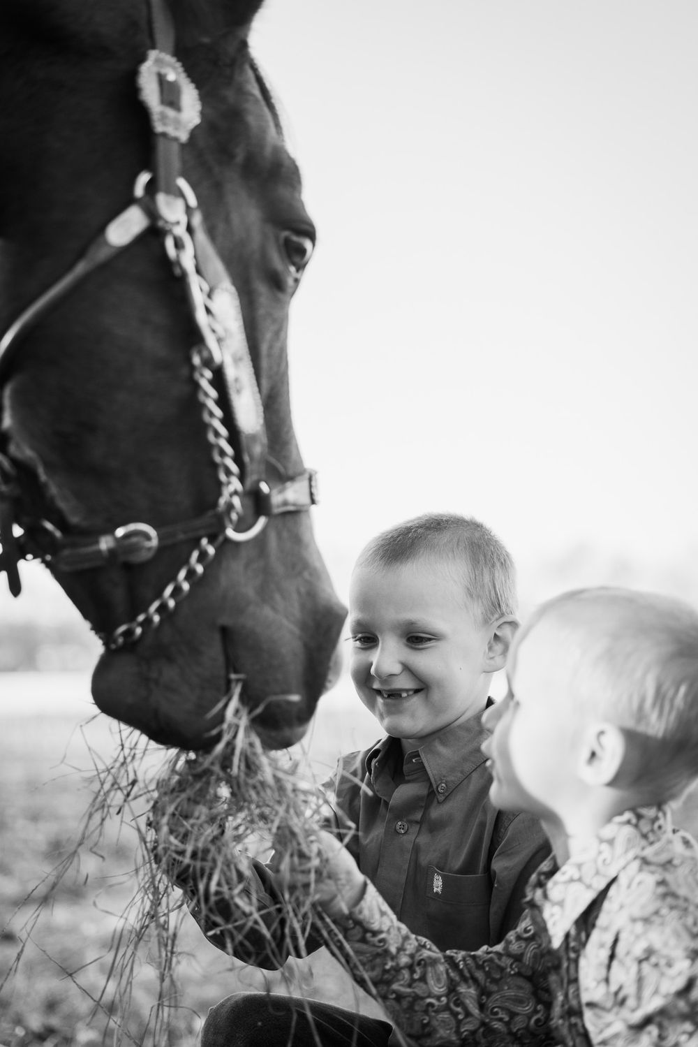 Young children share a joyful moment feeding hay to a friendly horse in black and white.