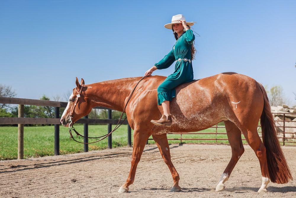 A horse and rider practice their form in an outdoor riding arena.