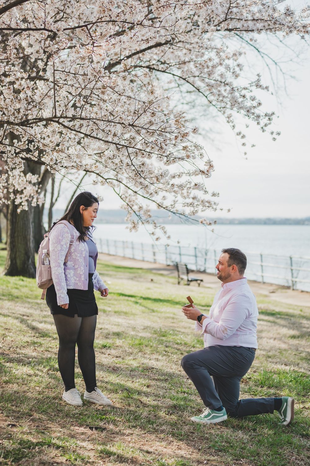 A couple shares a romantic marriage proposal moment under blooming cherry blossom trees by the waterfront.