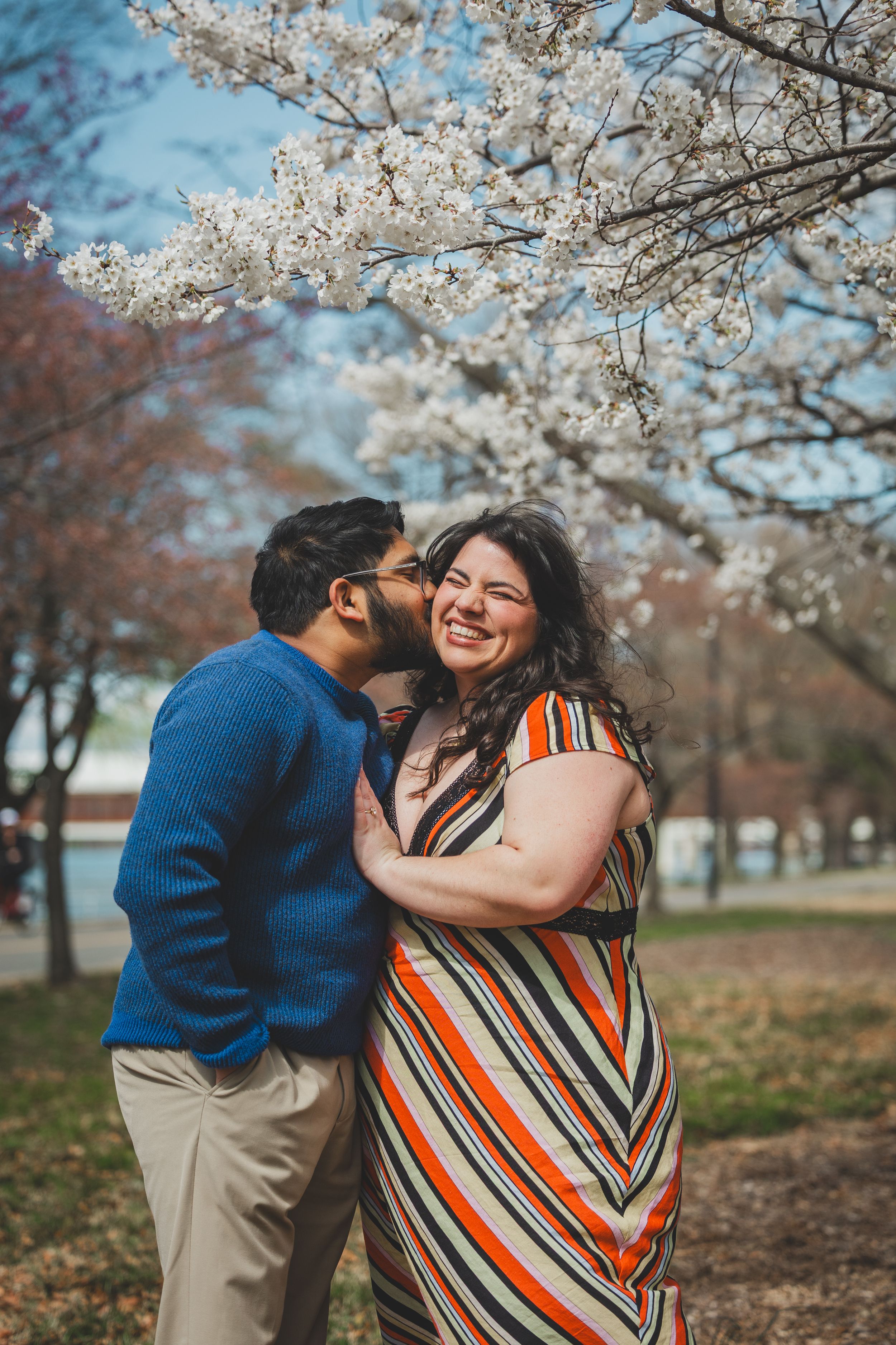 A couple shares a tender moment under blooming cherry blossoms on a spring day.