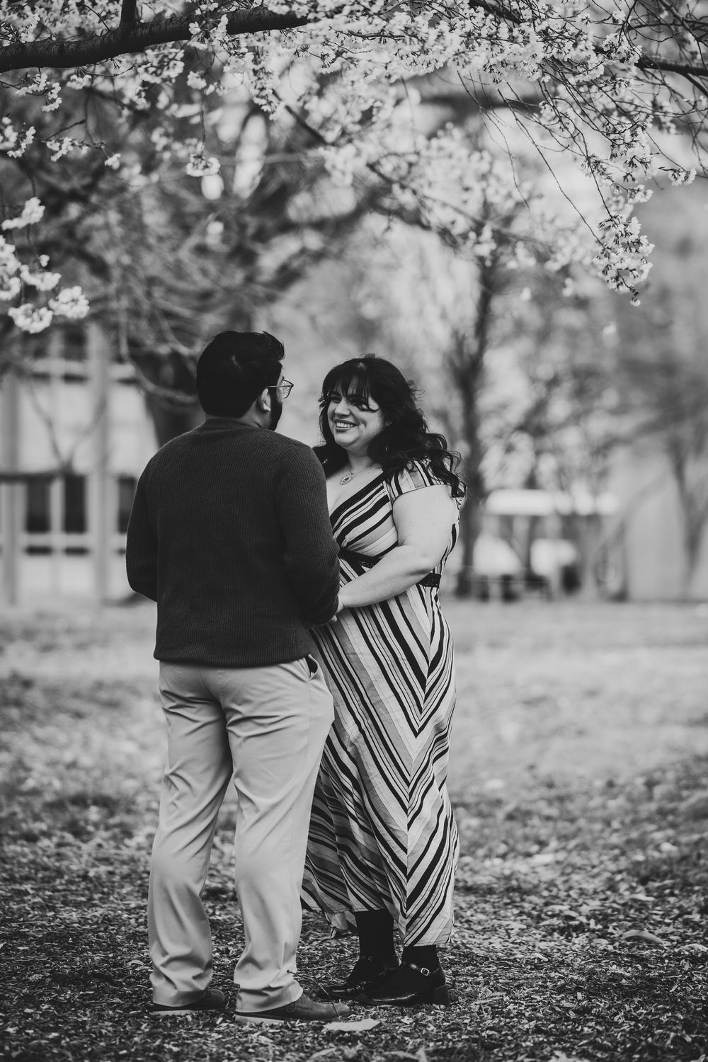 A couple embraces each other under blooming cherry blossom trees in a romantic black and white photoshoot series.
