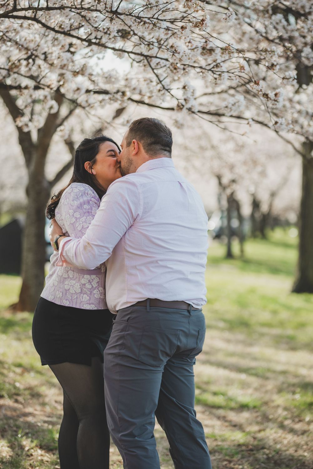 A couple shares a romantic kiss under blooming cherry blossom trees in a spring orchard.
