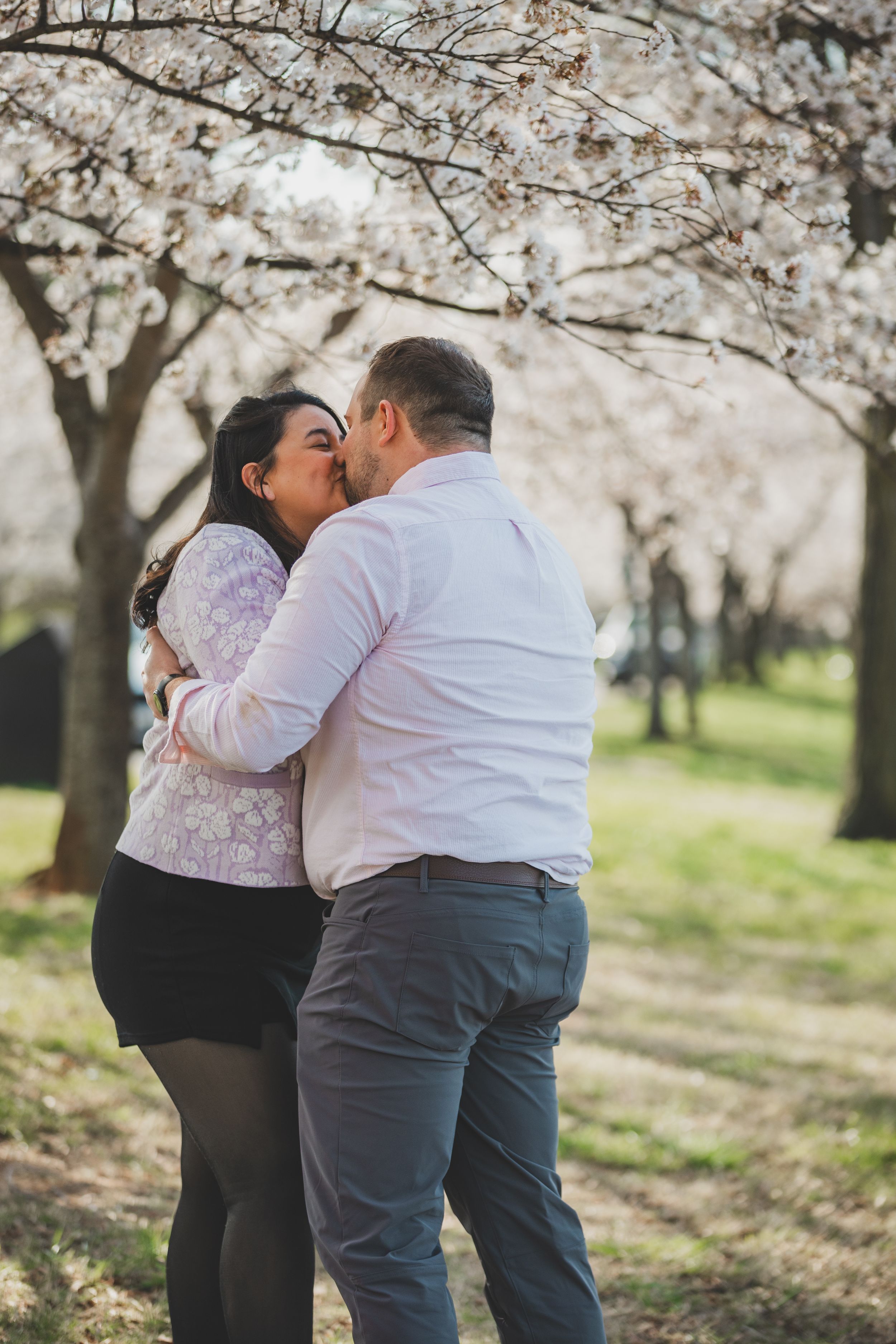 A couple shares a romantic kiss under blooming cherry blossom trees in a spring orchard.