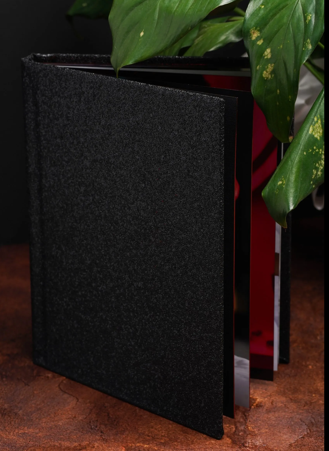 Multiple black acoustic foam panels shown in a row with green plant leaves visible in the background.