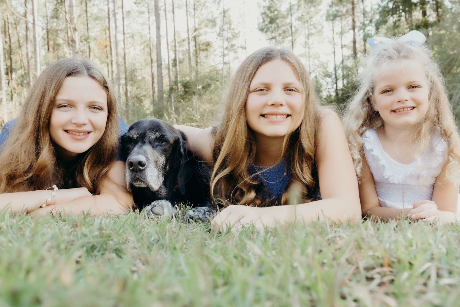 Three people lying in grass with a black dog enjoying a sunny day in a wooded setting.