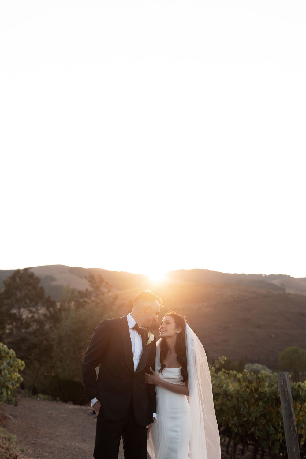 Newlywed couple embraces in golden sunset light among vineyard hills.