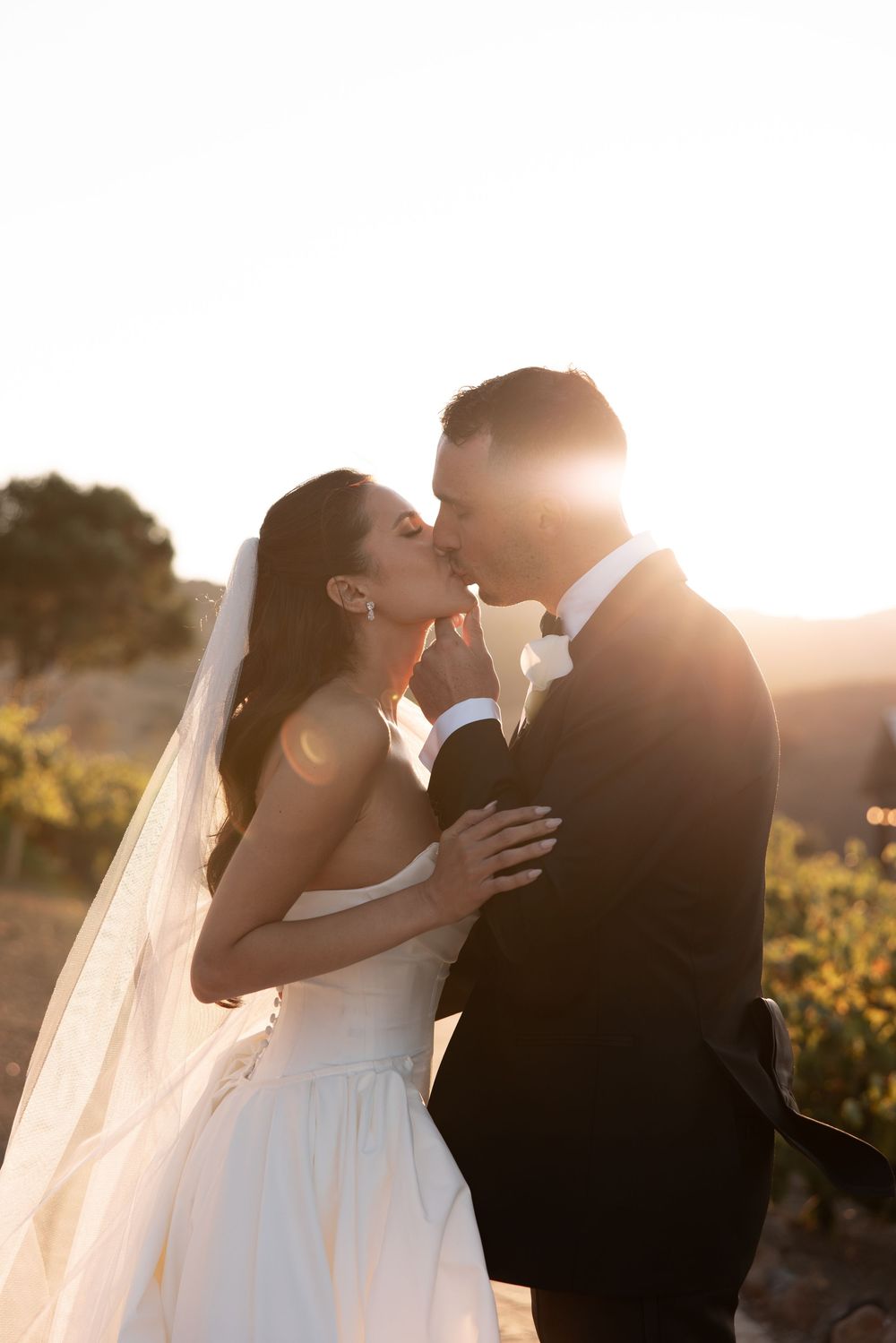 A romantic wedding couple shares tender kisses at sunset in a vineyard, captured in multiple silhouetted frames.