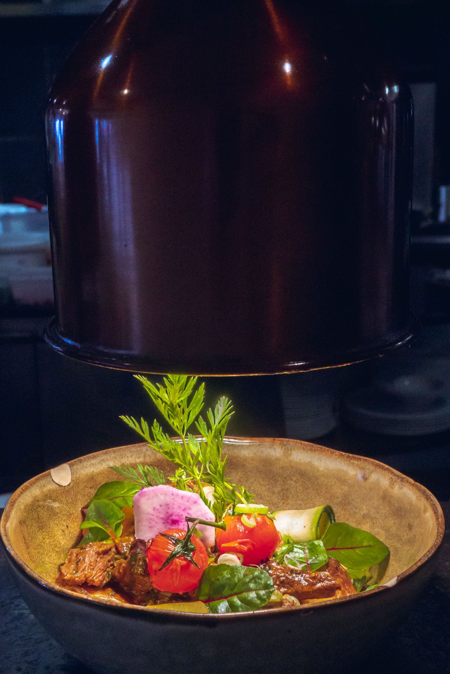 Elegant plated dishes with vibrant garnishes and sauces served on dark rustic ceramic plates in moody lighting.