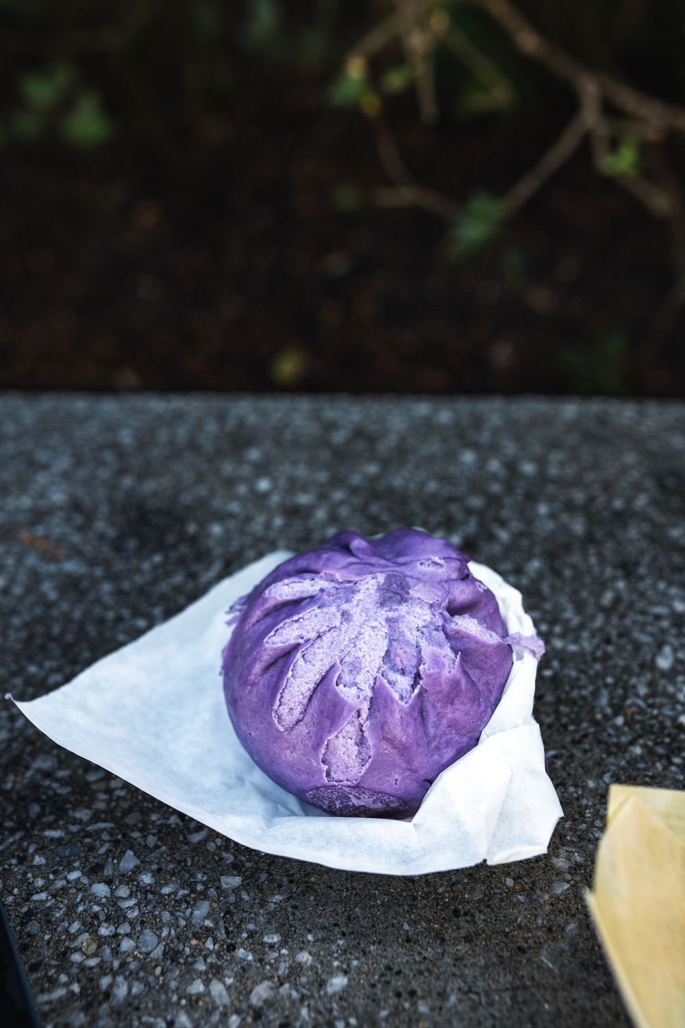 A vibrant purple cabbage wrapped in white paper rests on a dark stone surface.