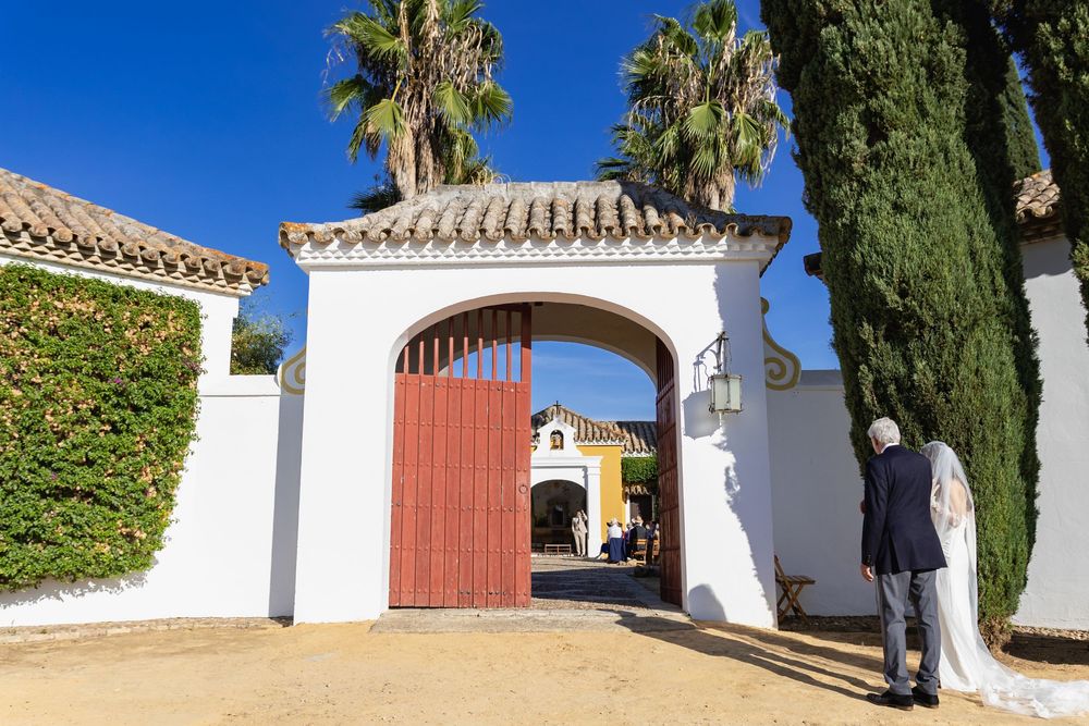 Palm trees line a Mediterranean-style pathway with white stucco walls and terracotta roofing in Spain.
