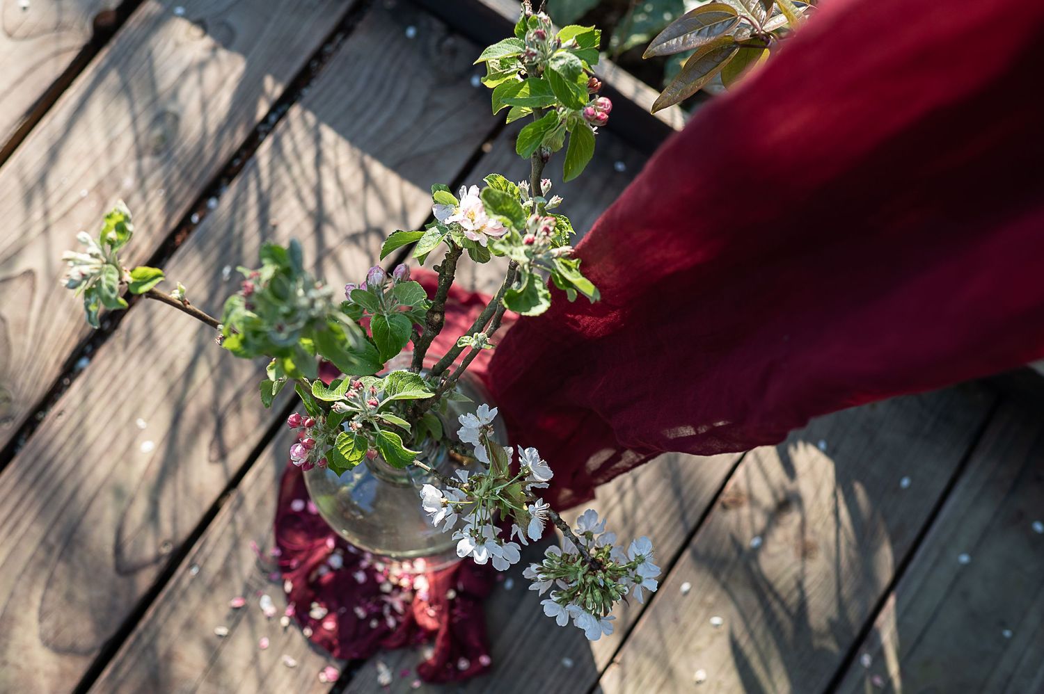 Seasonal blossom in a jar, on a red drape
