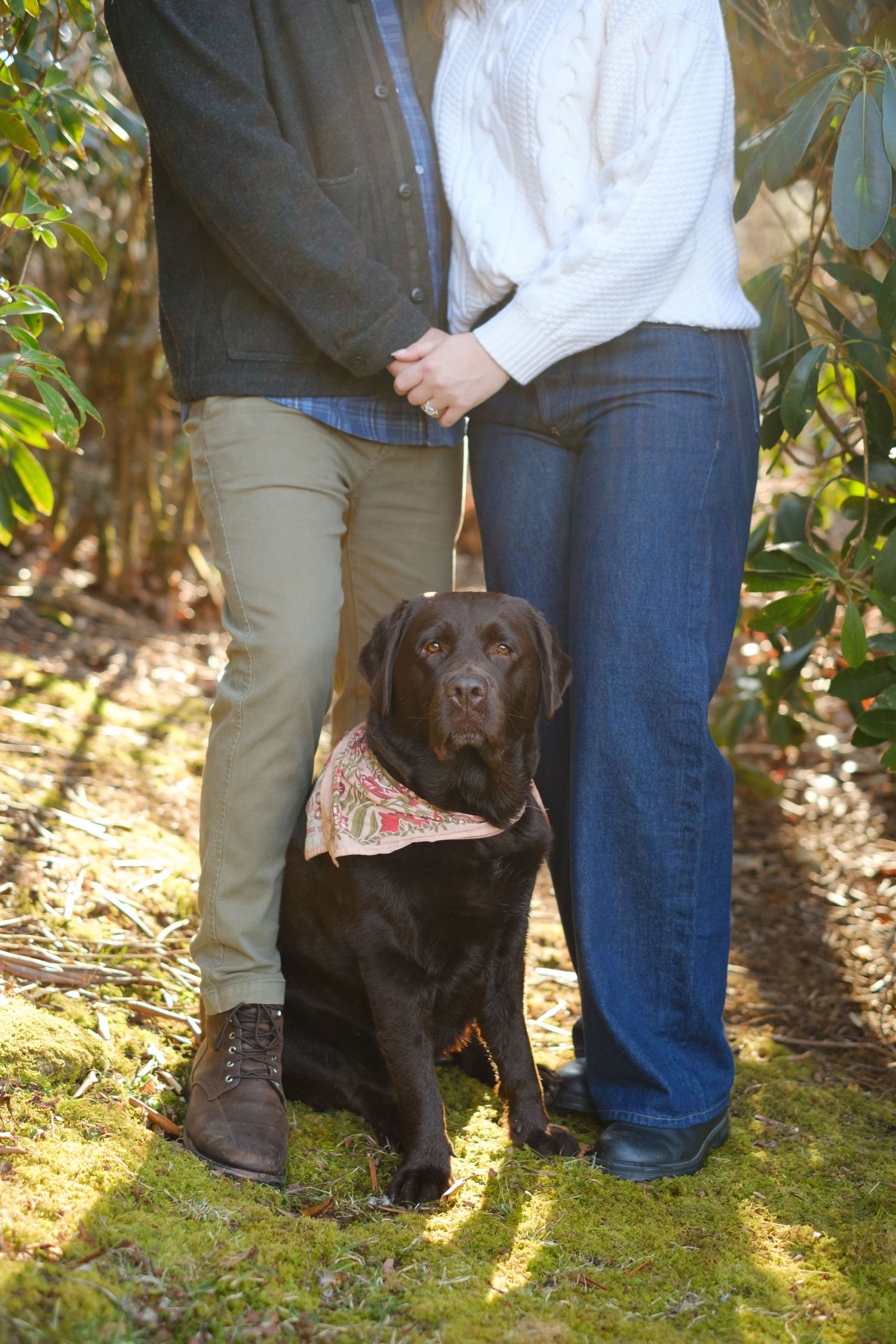 Highlands NC engagement session with mountain couple and their dog photography by Stephanie A Smith Photography