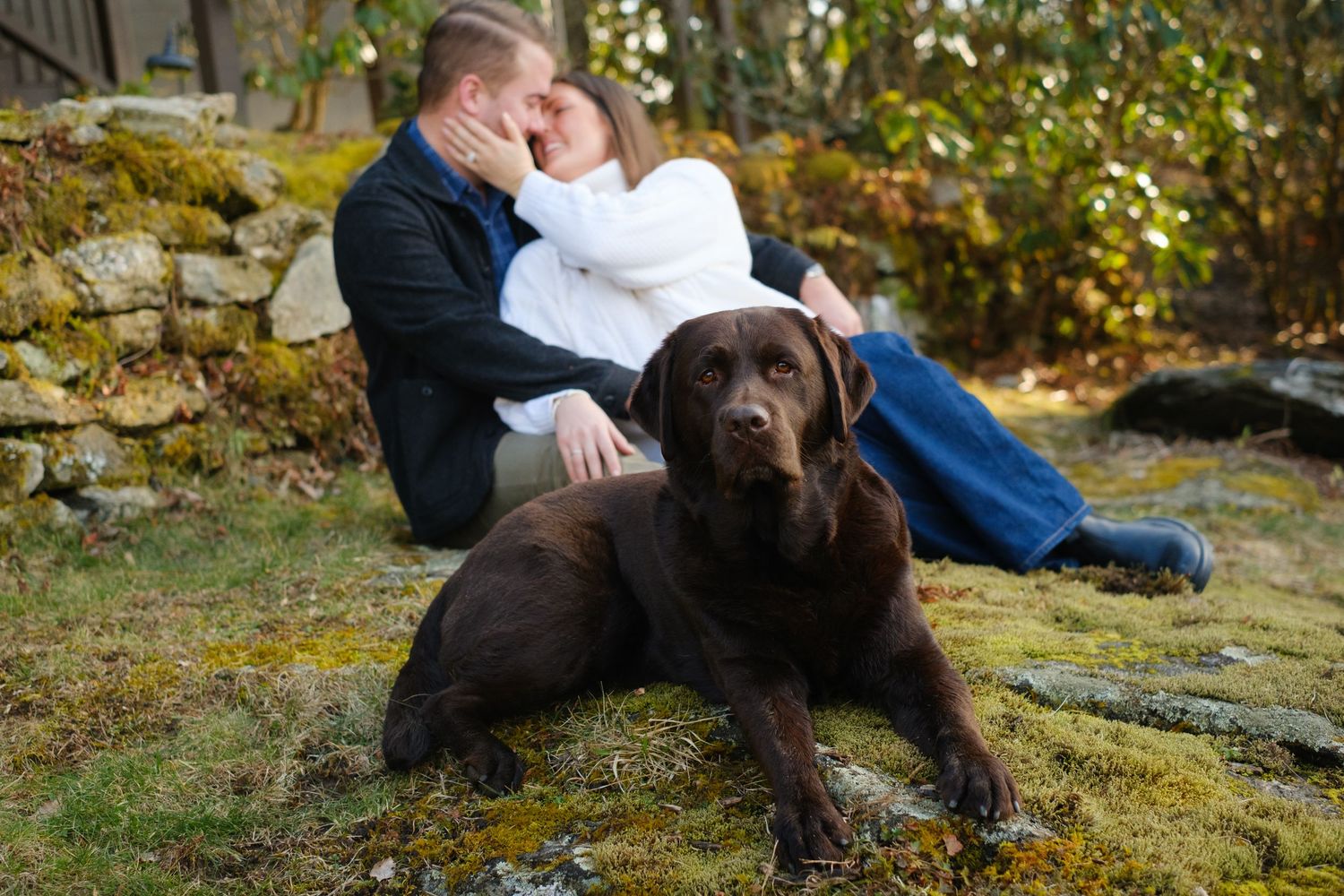 Highlands NC engagement session with mountain couple and their dog photography by Stephanie A Smith Photography
