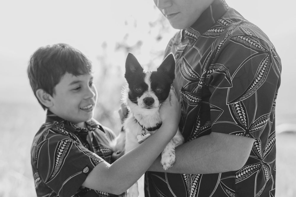 Black and white photo of a small Border Collie puppy being held and petted by a child and adult.