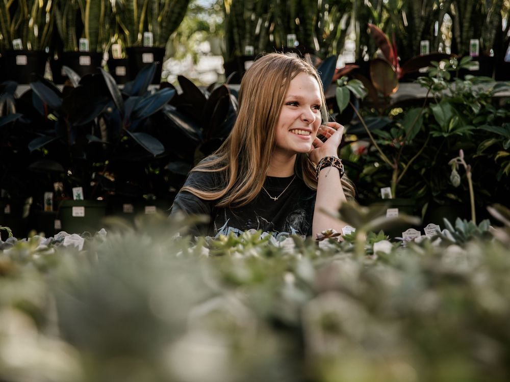 Artistic shot through greenhouse plants showing blurred foliage in foreground.
