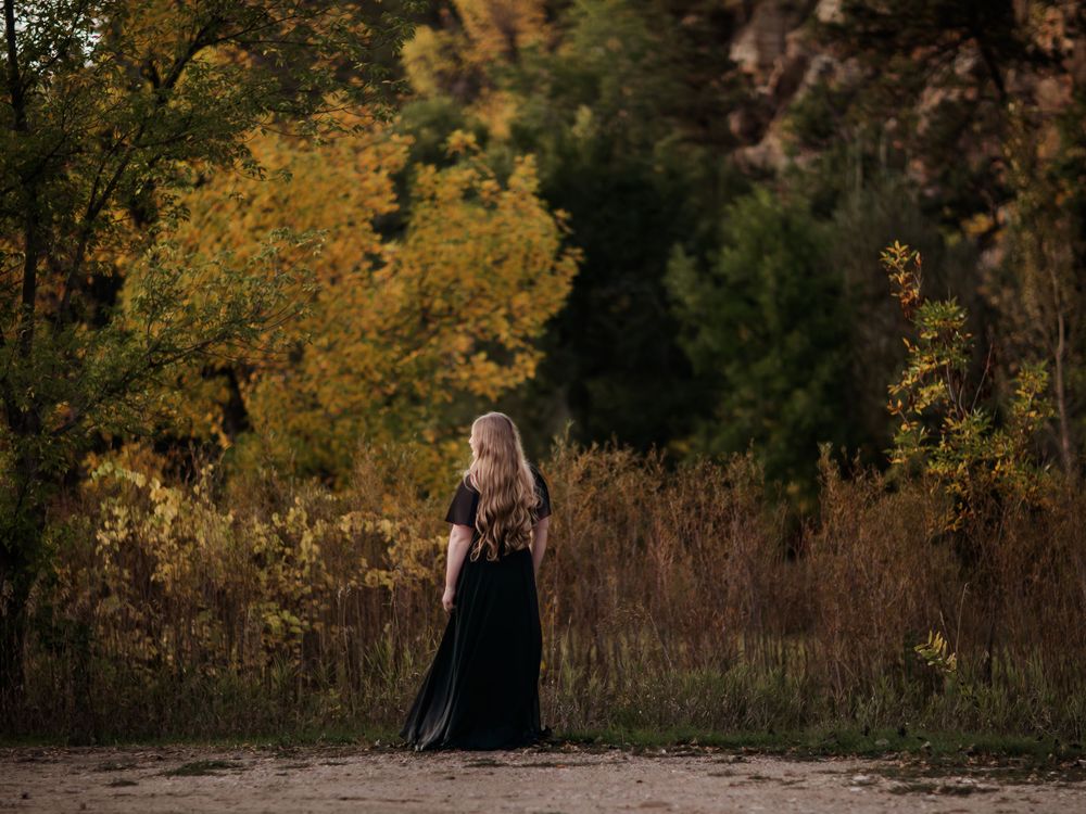 Scenic autumn landscape with golden foliage and natural lighting.