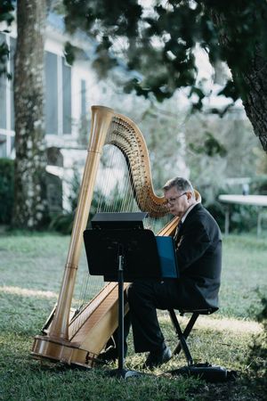 Harpist performs outdoors beneath trees during a garden wedding ceremony.