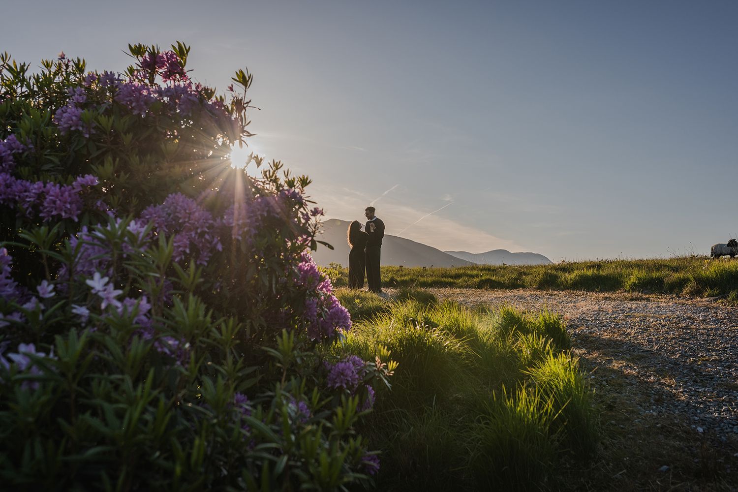 Couple sharing vows surrounded by mountains in Connemara, during spring bloom