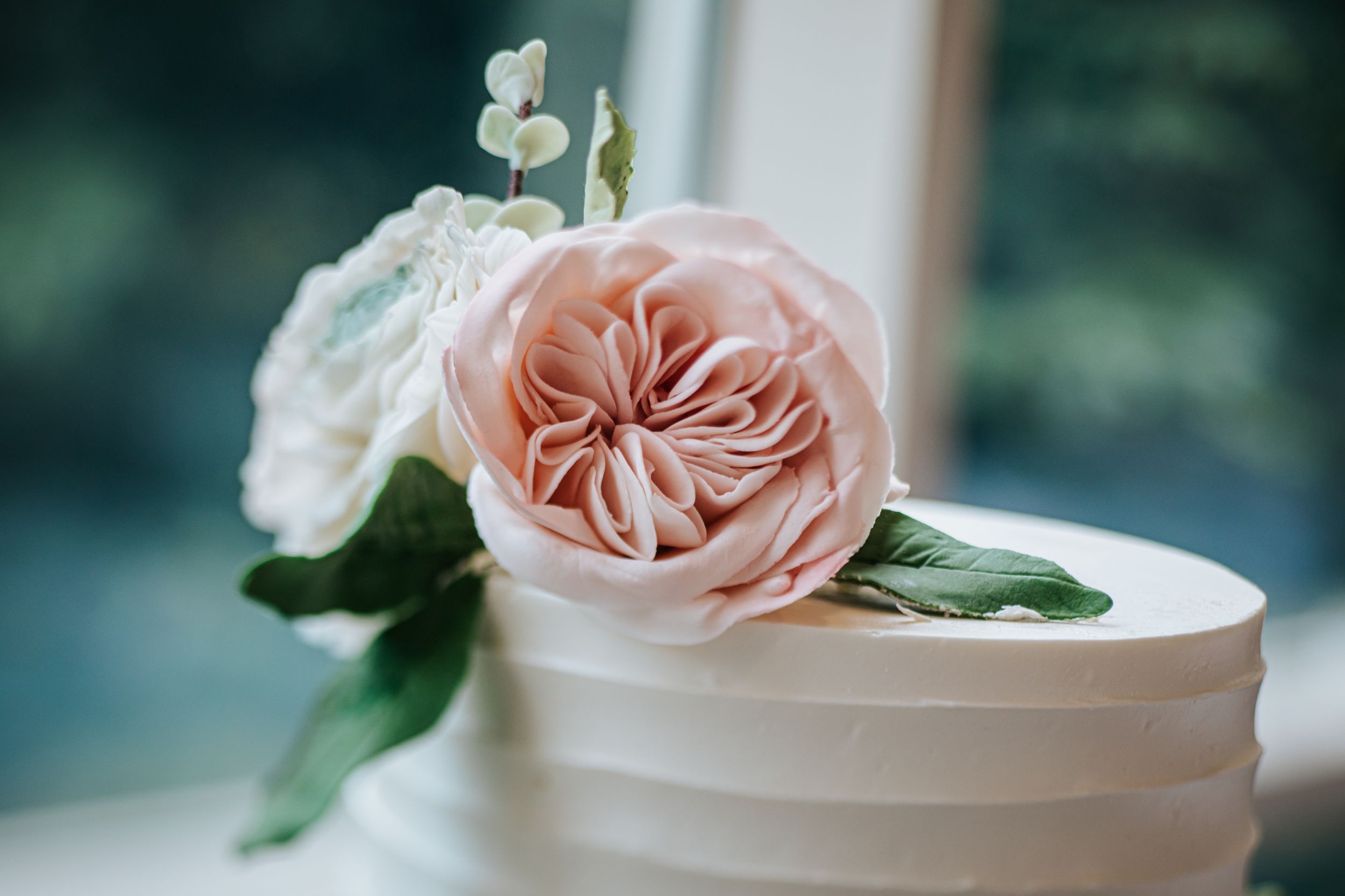A delicate pink garden rose with ruffled petals rests on a white ceramic container against a blurred background.