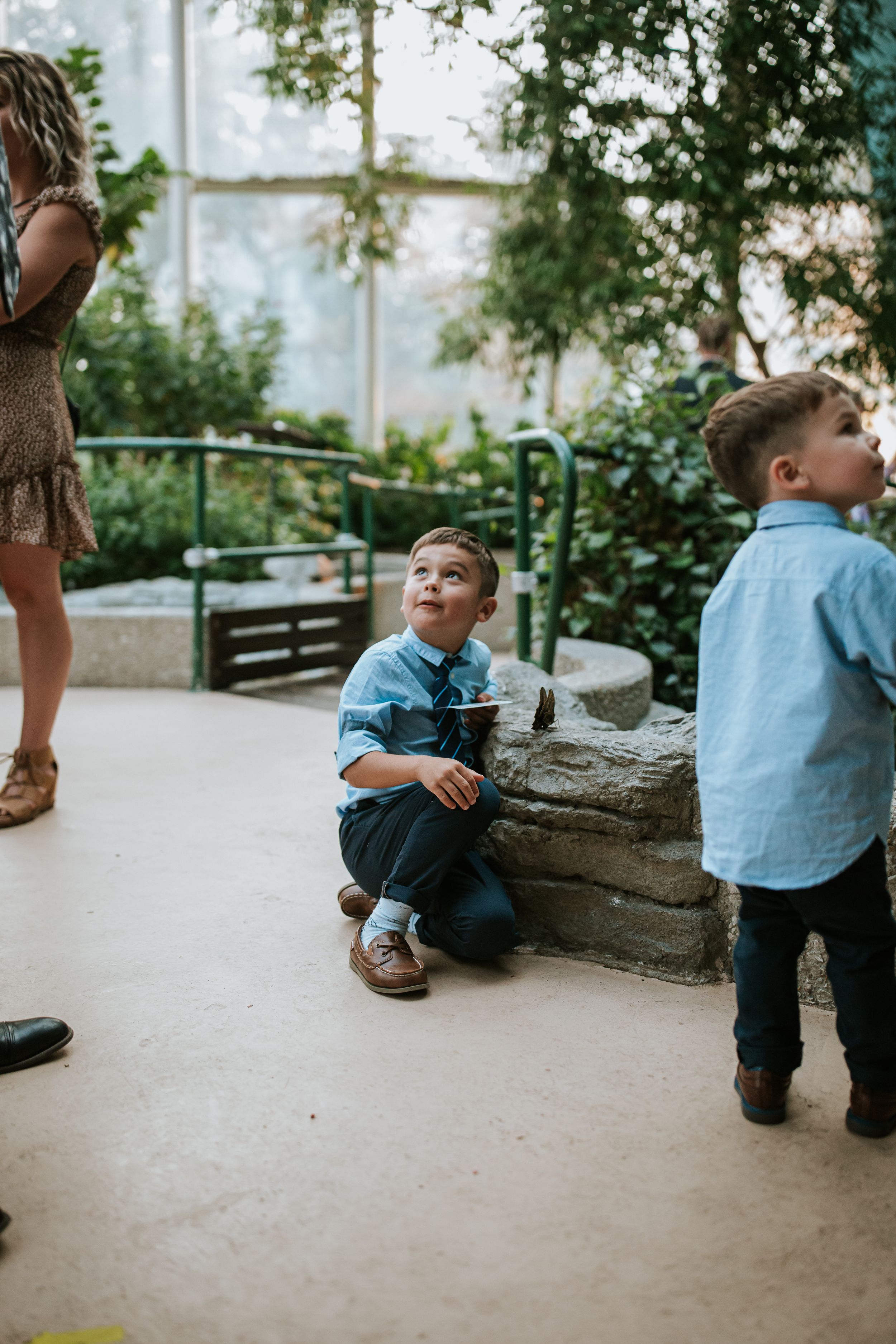 Two young boys in blue shirts explore a garden setting with stone features and greenery in the background.
