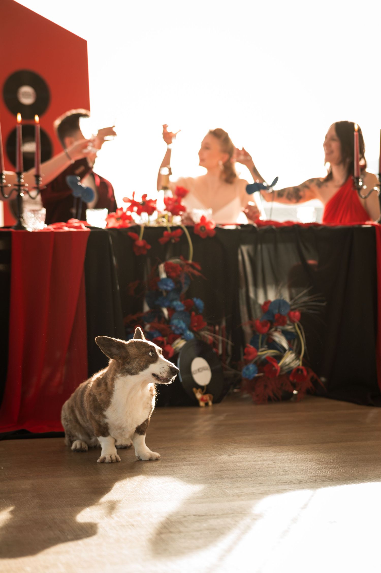 Chien corgi lors d’un shooting inspiration mariage pop british