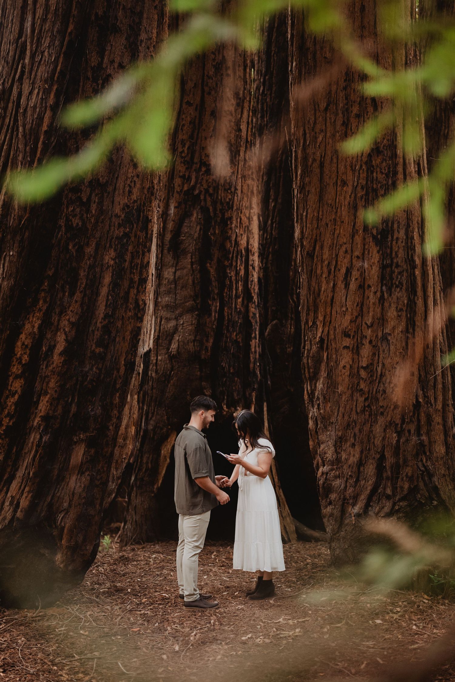 redwood Engagement Photo Outfits