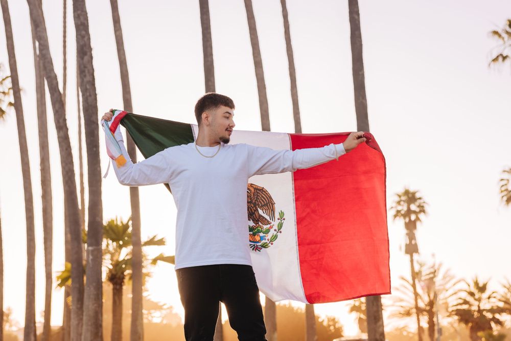 Person holding a red flag while posing between tall palm trees at sunset.