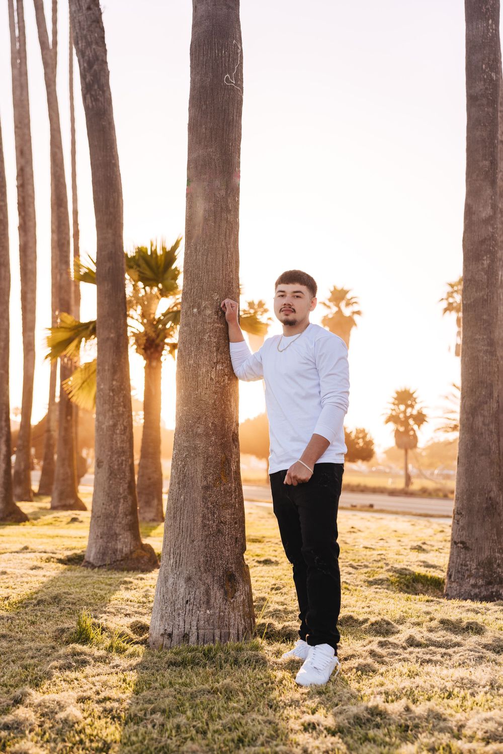 Natural outdoor portrait session in a palm tree grove with sunset backlighting.
