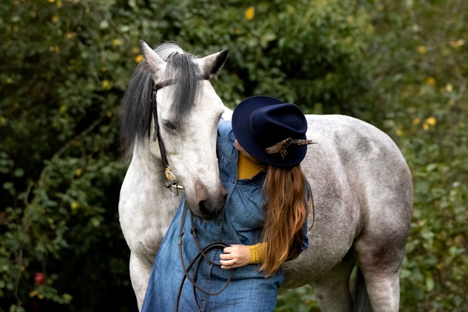 Equestrian Photography